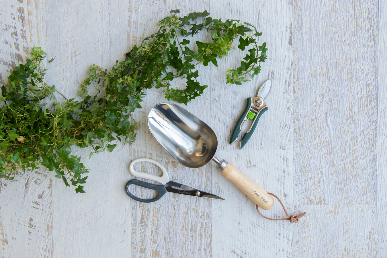 Plant Care Accessories