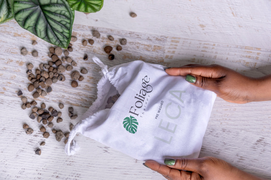 Dark clay balls spilling out of hand held Foliage Therapy calico bag next to plant