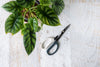 Grey and white scissors top view next to plant