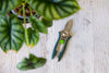 Green and stainless steel pruner next to a plant