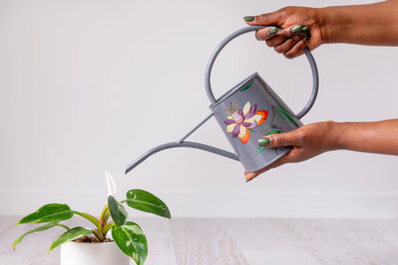 Grey watering can with picture of flower held over a plant