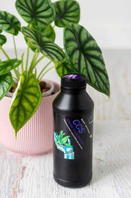 Clonex Clone Solution in black plastic bottle next to plant in pink pot