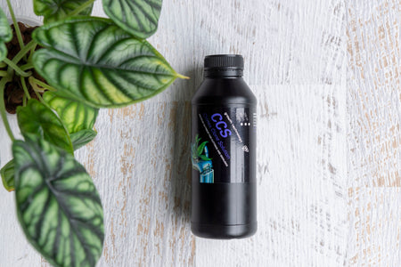 Clonex Clone Solution in black plastic bottle next to plant in pink pot