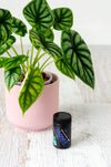 Clonex rooting hormine gel in black plastic bottle next to plant in pink pot