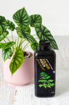 Foliage Focus nutrient in black plastic bottle next to plant in pink pot