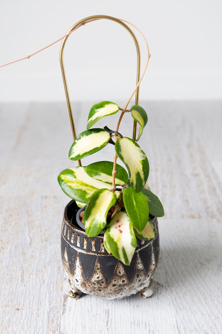 Brass plant totem with plant in brown pot
