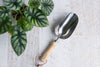 Stainless steel compost scoop next to plant