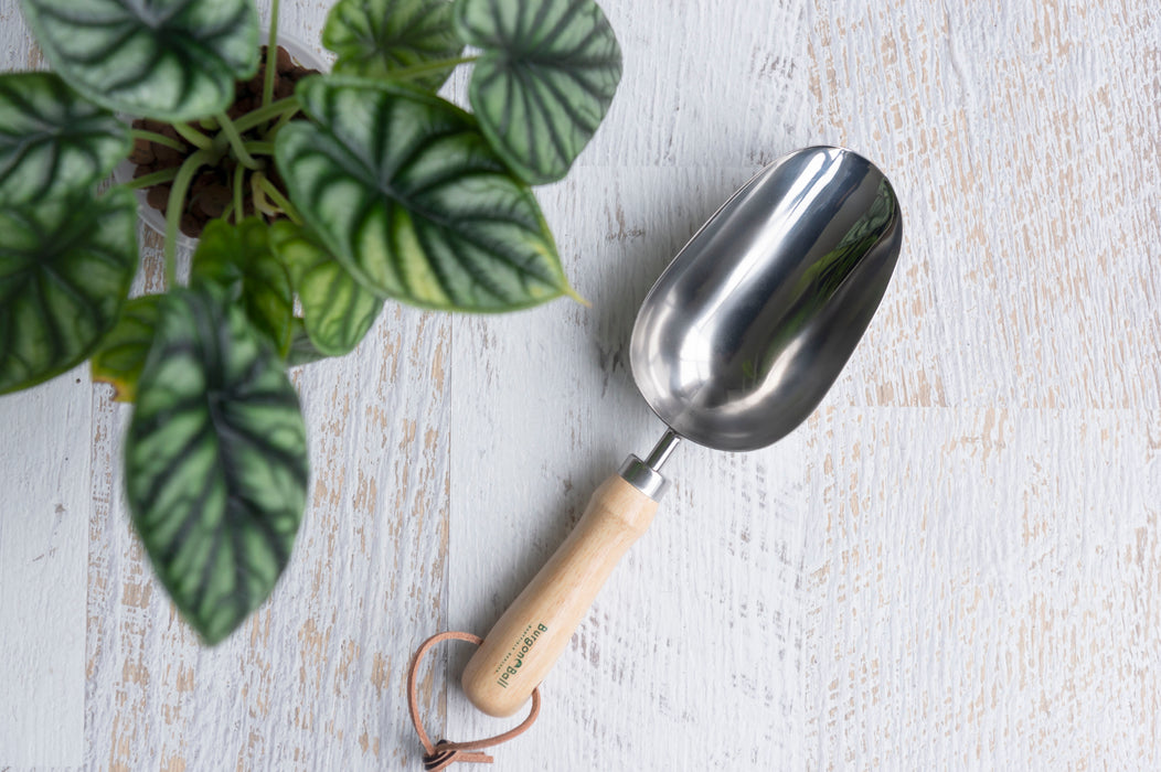 Stainless steel compost scoop next to plant
