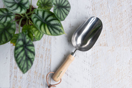 Stainless steel compost scoop next to plant