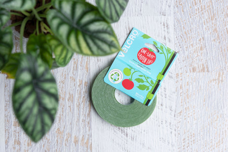 Velcro brand plant tie on white decorative surface next to plant